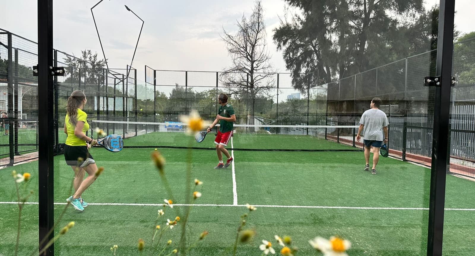 Padel Provi Revolución padel courts